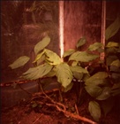 dailyPhoto5